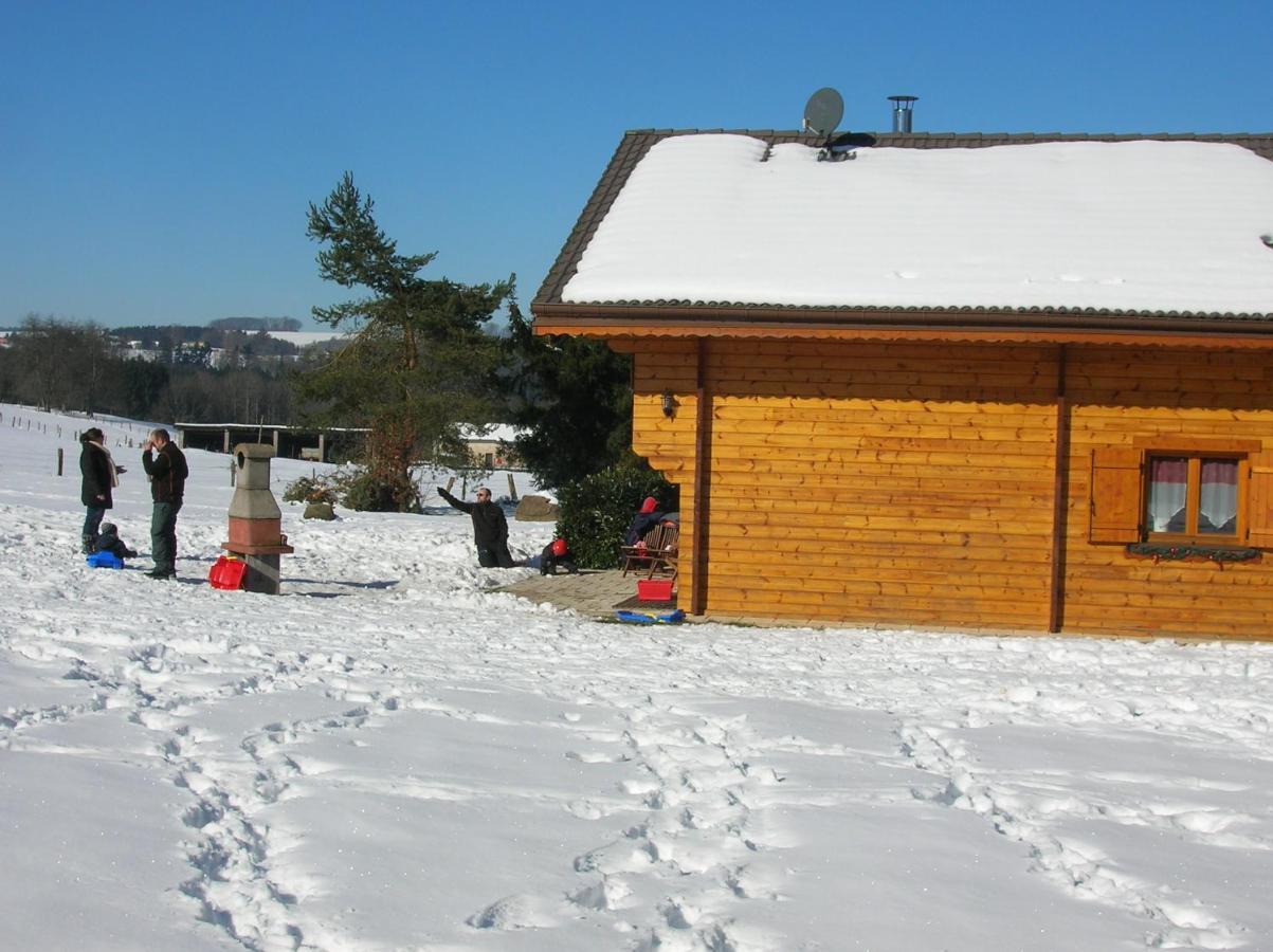 Chalet Les Ecureuils Saint-Nabord Extérieur photo