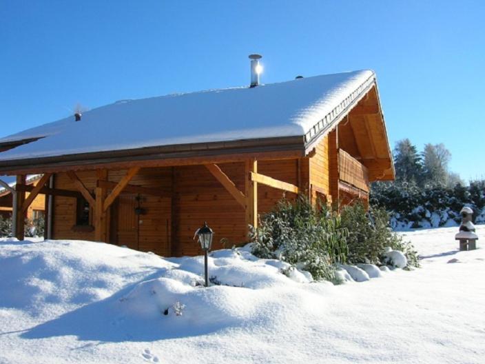 Chalet Les Ecureuils Saint-Nabord Extérieur photo